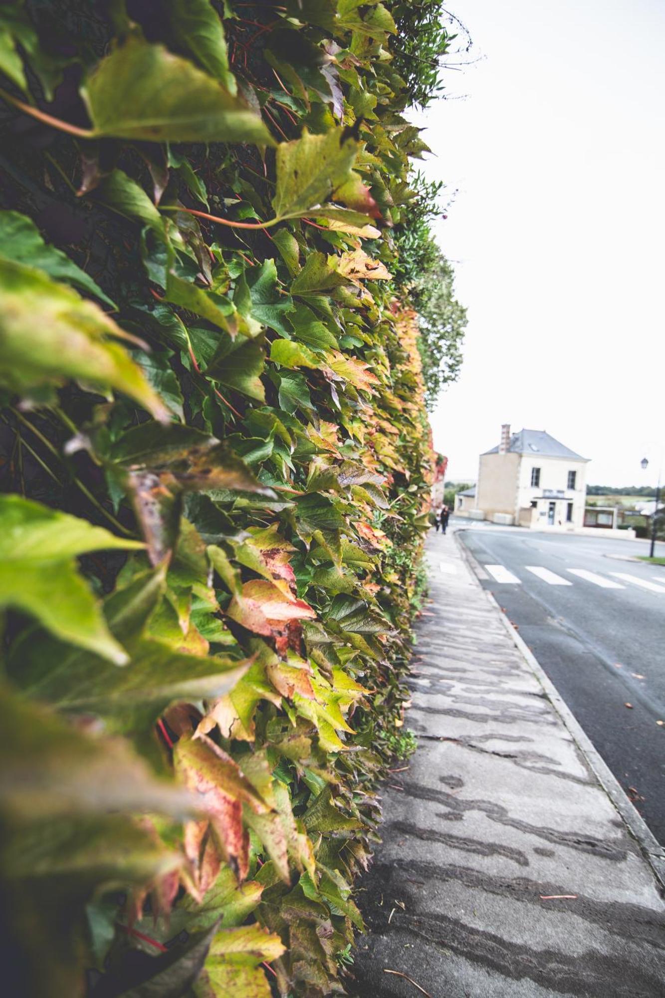 Le Regisseur Apartamento Brissac-Quince Exterior foto